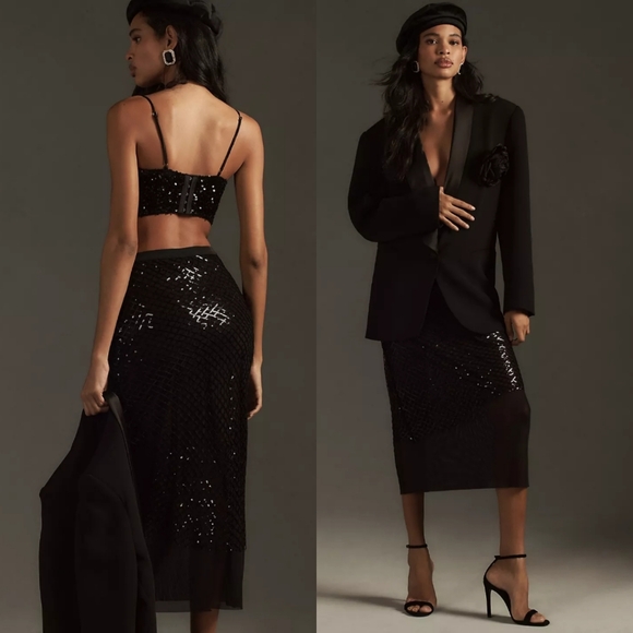 Anthropologie Sequin Netting Midi Skirt - Picture 2 of 9